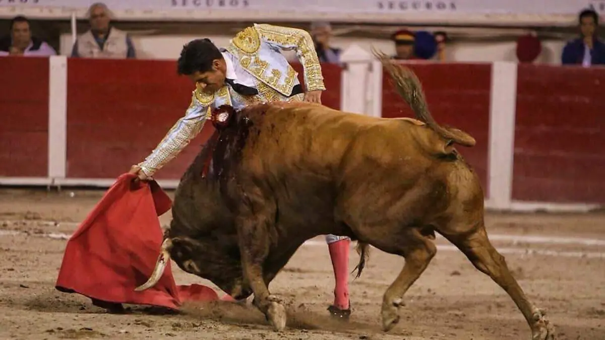 WhatsApp Image 2023-02-07 at 6.45.48 PM