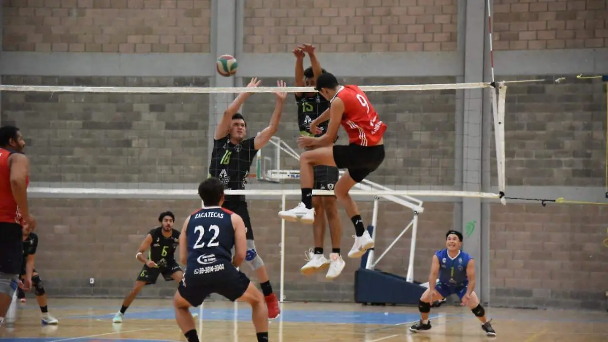 VIRTUS (2)