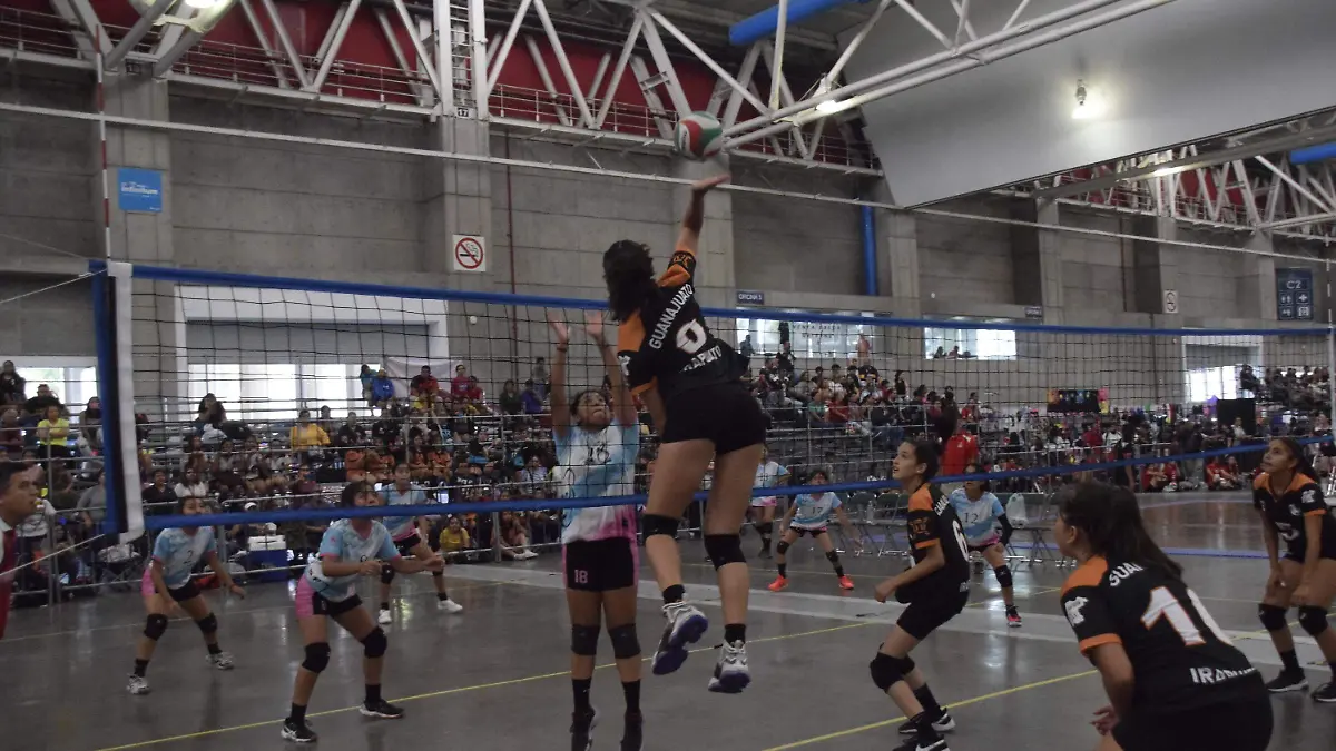 F CARMONA BOLIBOL (6)