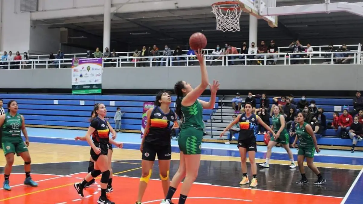 Zapateras Chocolateras 2