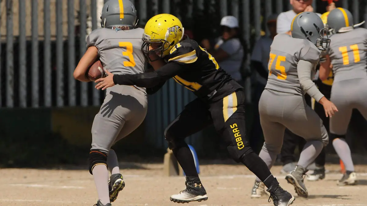 GGARCIA COBRAS AMERICANO (3)