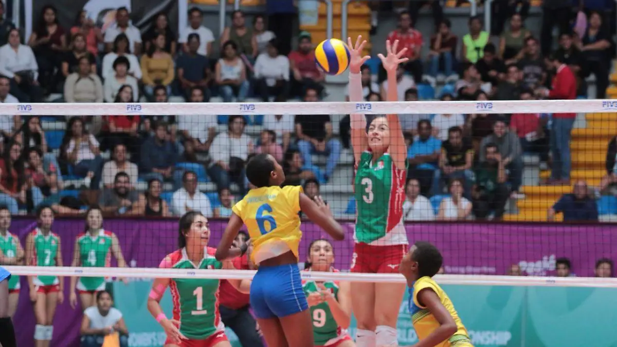 WhatsApp Image 2019-07-16 at 7.40.48 PM