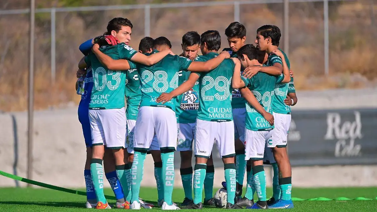 1-cachorros