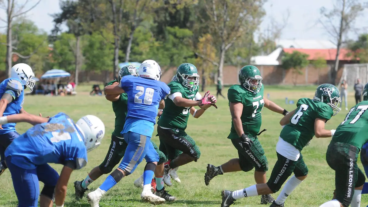 GGARCIA CACHORROS (20)