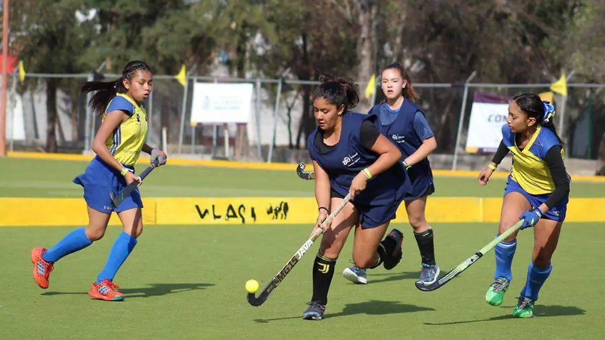 Cortesía Copa Flick 3