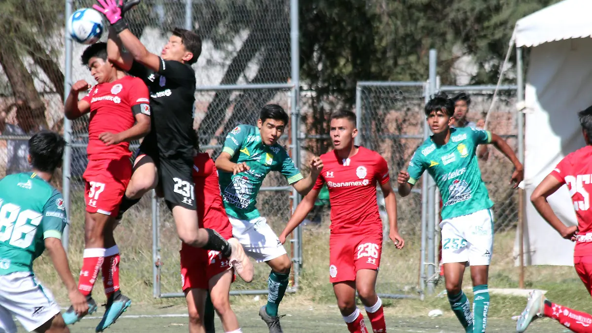 BÁSICAS (9)