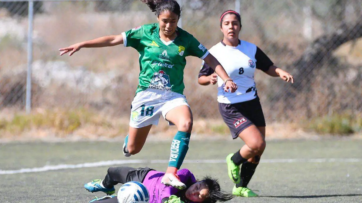 Semifinal León Alacranes