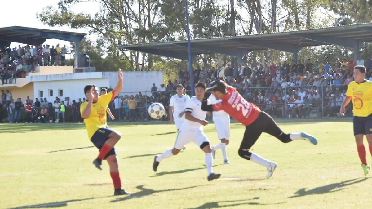 WhatsApp Image 2019-02-04 at 6.54.34 PM