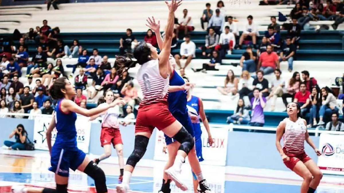 WhatsApp Image 2020-01-15 at 10.44.01 AM (1)