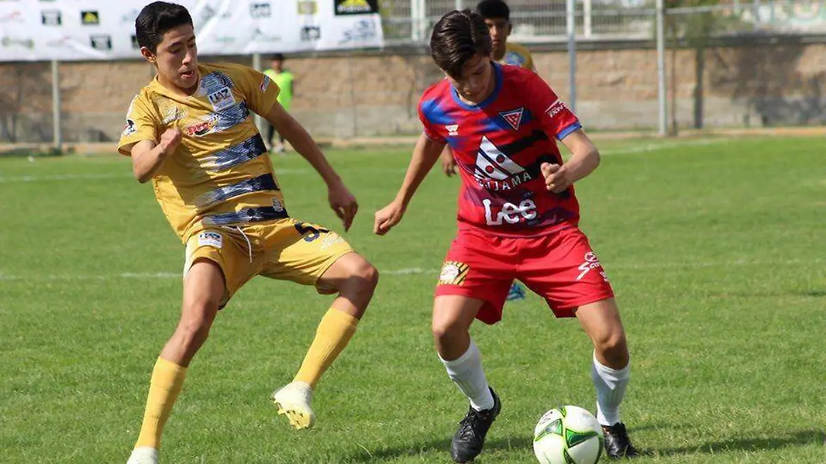 WhatsApp Image 2021-10-21 at 11.21.55 AM