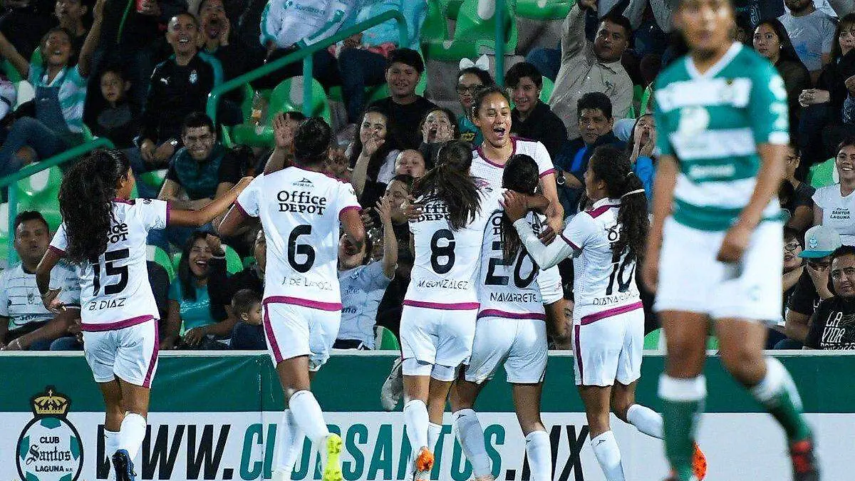 WhatsApp Image 2019-02-04 at 9.16.10 PM