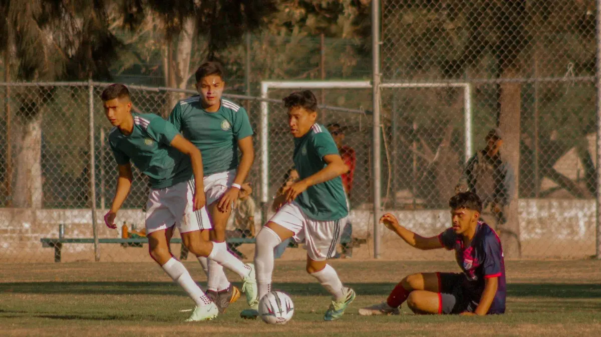 Cortesía Patriotas - Liga 4 2