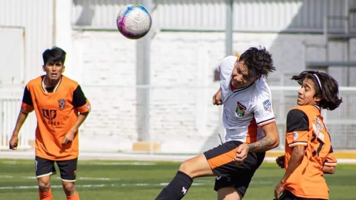 Cortesía L Fortaleza 1