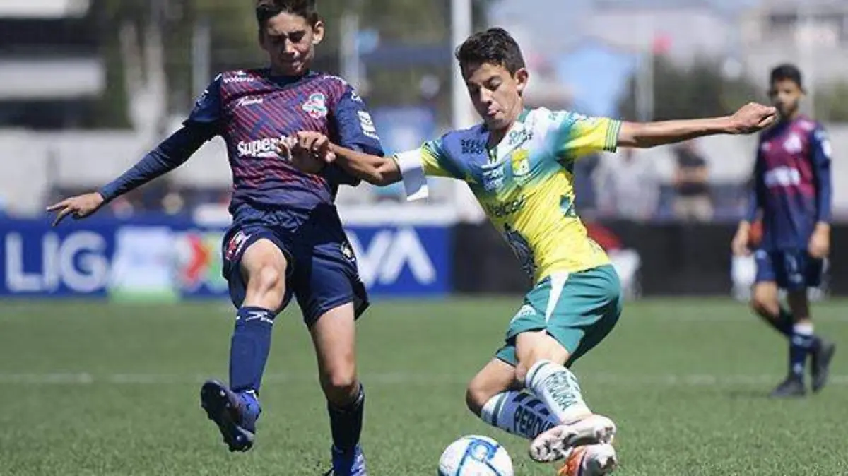 WhatsApp Image 2019-07-28 at 2.26.03 PM