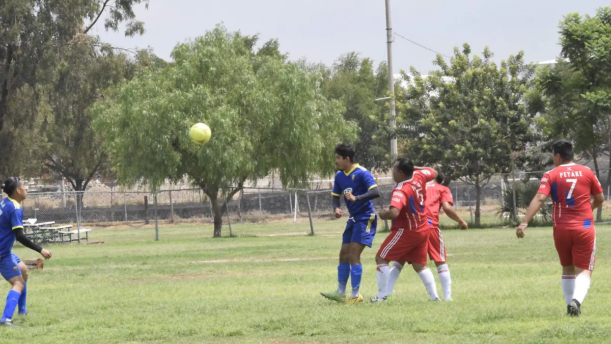 F CARMONA PARQUE DEL ARBOL (2)
