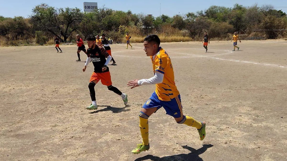 Cristo Rey 1