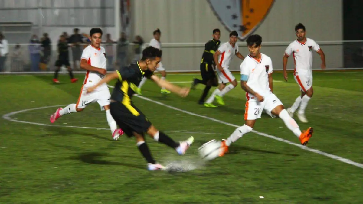 LEONES UPSL 3