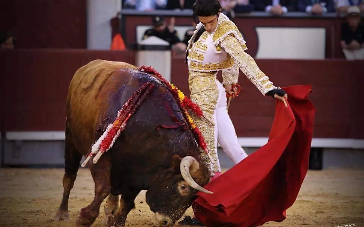 Cortesia Luis Fernando Gaona - Leon 