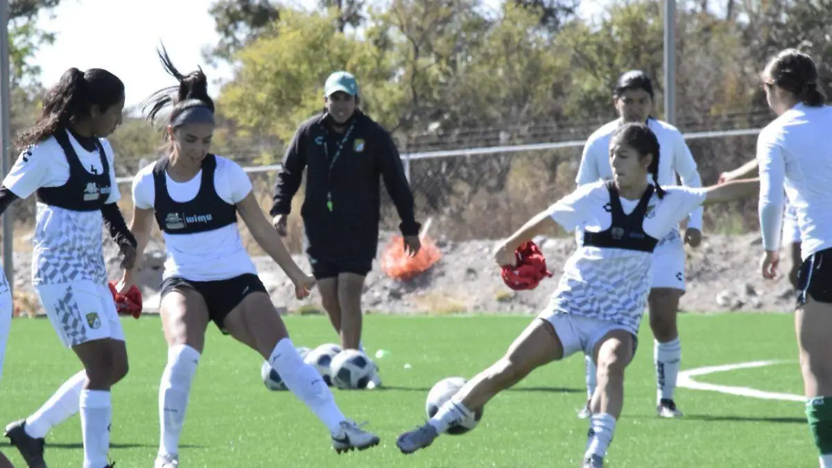 WhatsApp Image 2022-01-06 at 4.15.08 PM (1)