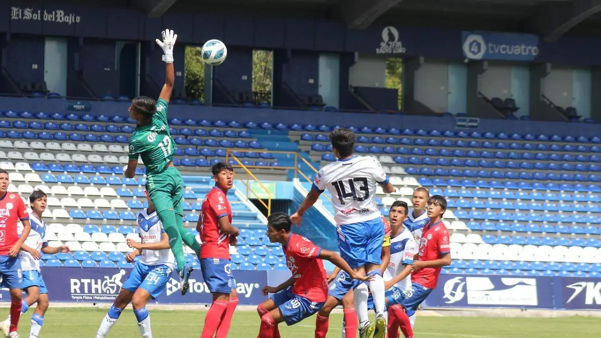 WhatsApp Image 2022-08-25 at 1.23.49 PM