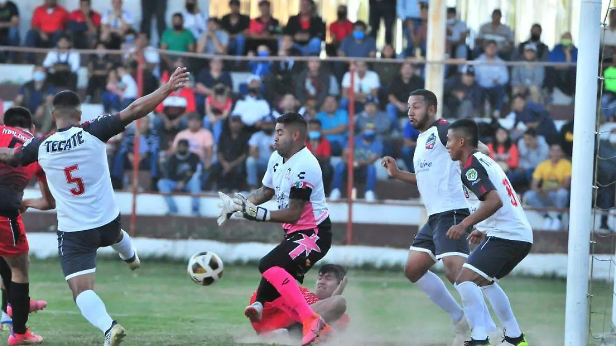 WhatsApp Image 2022-01-31 at 7.01.17 PM