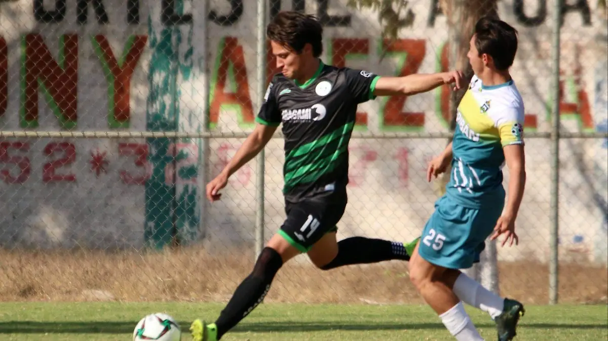 DELFINES DE ABASOLO (1)