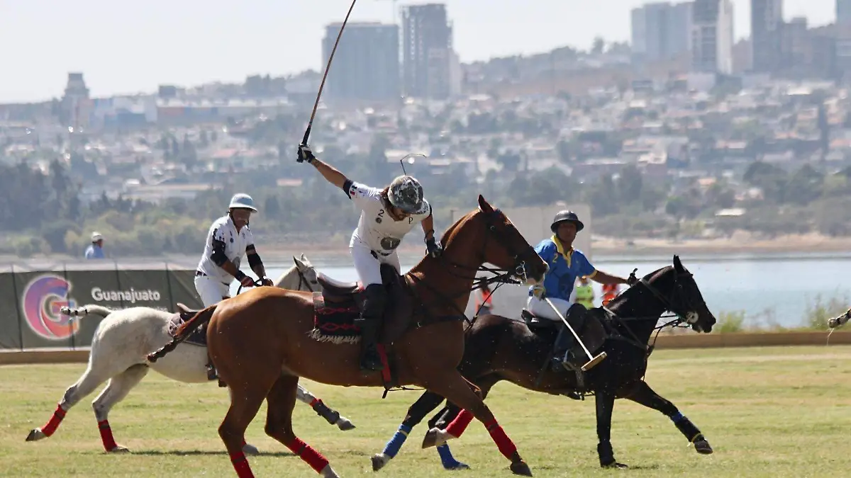 WhatsApp Image 2023-02-03 at 5.37.47 PM