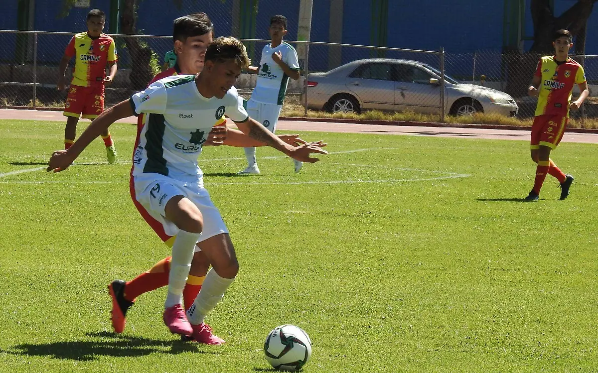 CACHORROS DE LEON 1 (1)