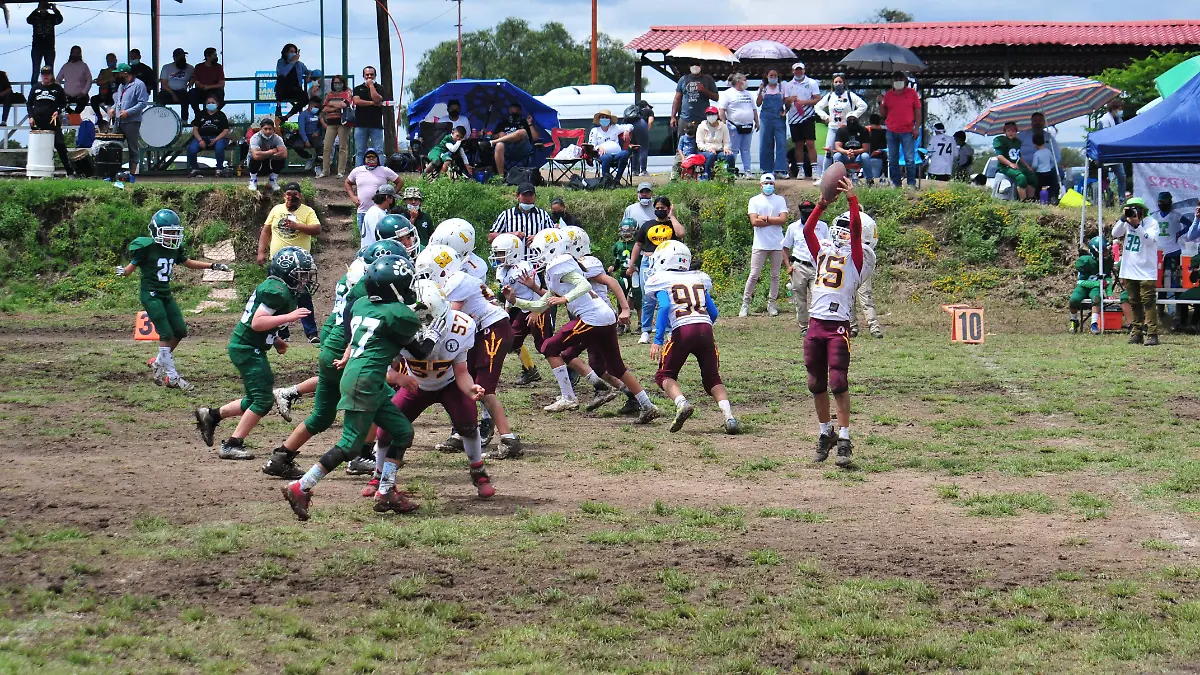 E.CAMACHO - CACHORROS (4)