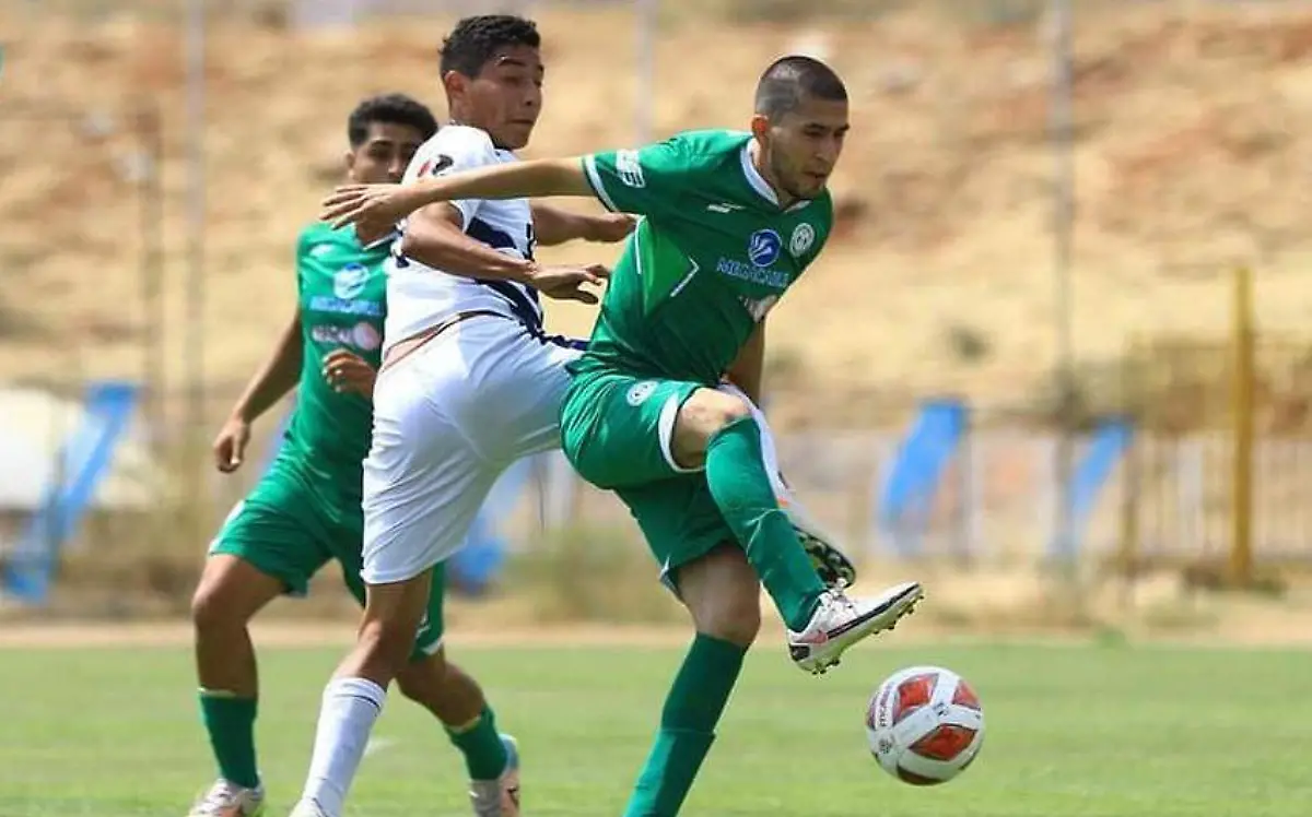 DELFINES DE ABASOLO 1