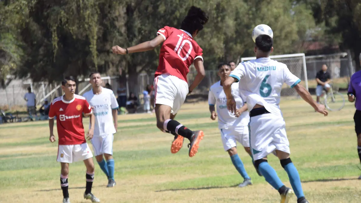 parque del arbol (4)