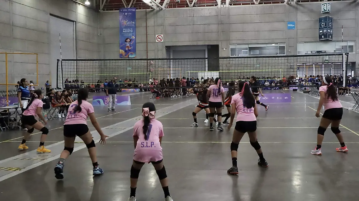 VOLEIBOL - Fco Meza - El Sol de Leon (1)