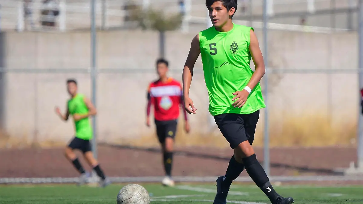 CORTESIA FURIA VERDE - FURIA VERDE (5)