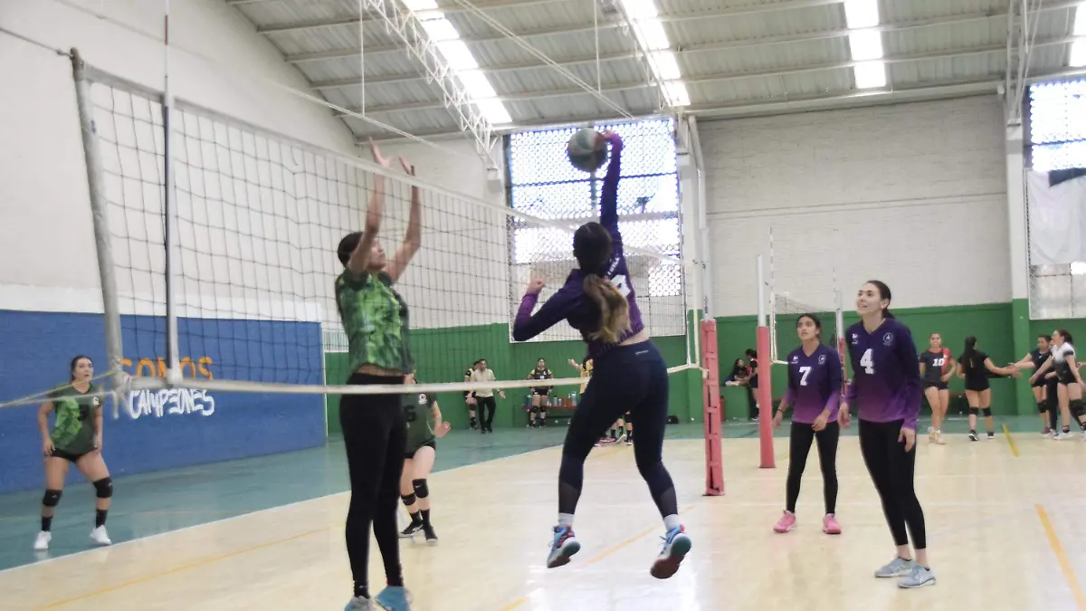 F CARMONA VOLEIBOL LIGA LEONESA (11)