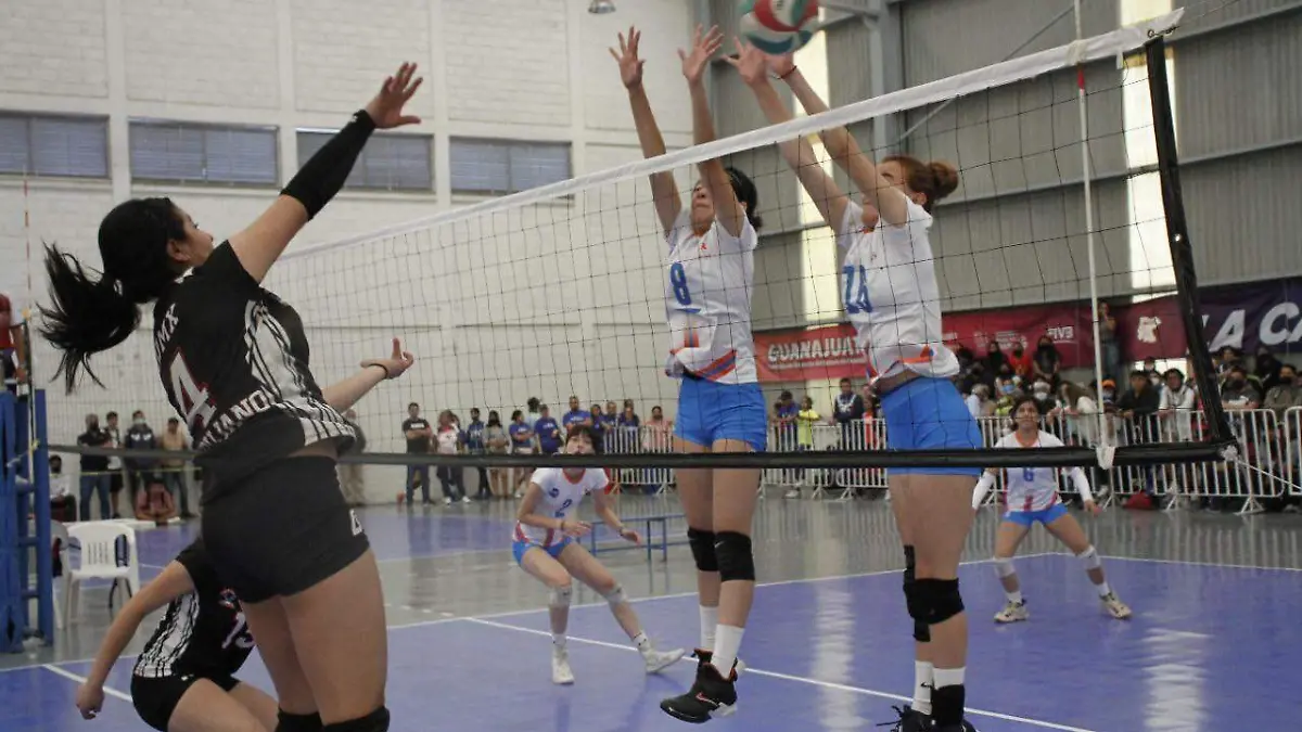 Cortesia CODE Guanajuato (1)