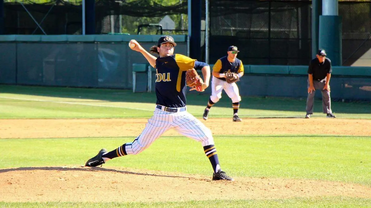 WhatsApp Image 2022-11-17 at 2.28.44 PM