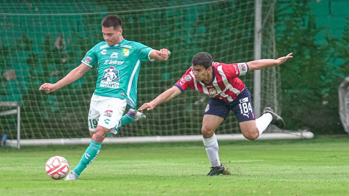 Fuerzas-León (2)