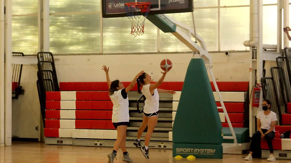 FCO MEZA - VISORIA ABEJAS (5)