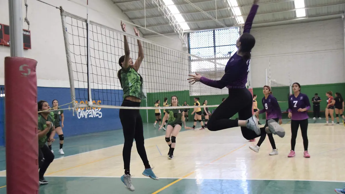F CARMONA VOLEIBOL LIGA LEONESA (10)