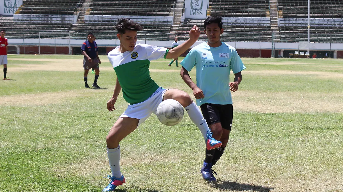 FCO MEZA - FUTURAS ESTRELLAS (2)