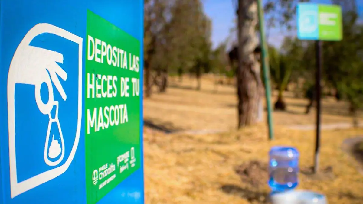 IMG-20210128-WA0077 (1)