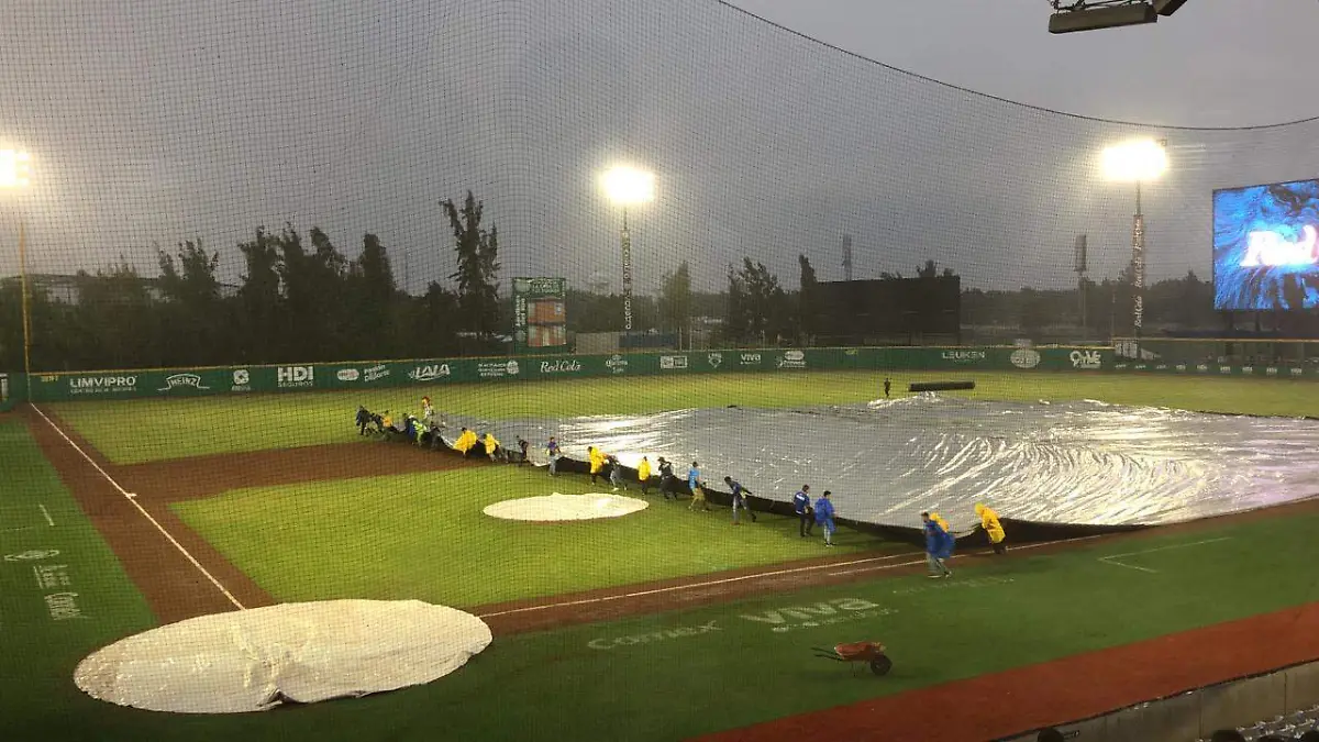 WhatsApp Image 2019-08-10 at 9.16.56 PM