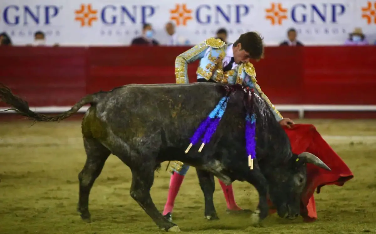 Cortesia Toros Leon (1)