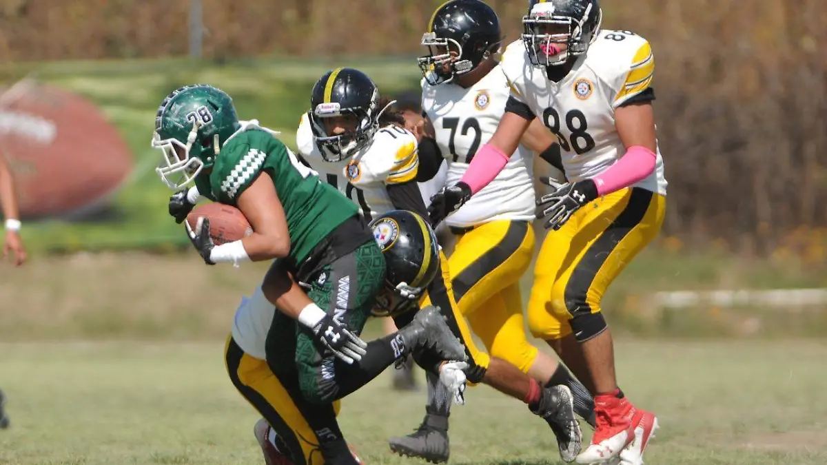 WhatsApp Image 2022-10-17 at 15.25.51