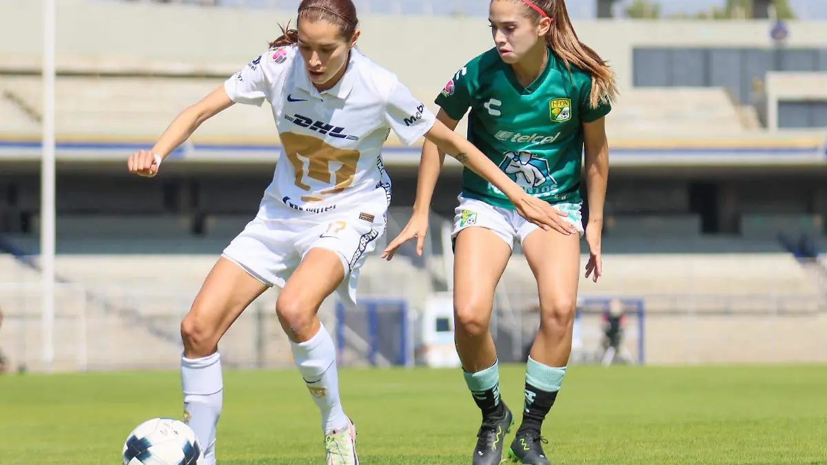 WhatsApp Image 2022-01-08 at 1.59.08 PM (1)