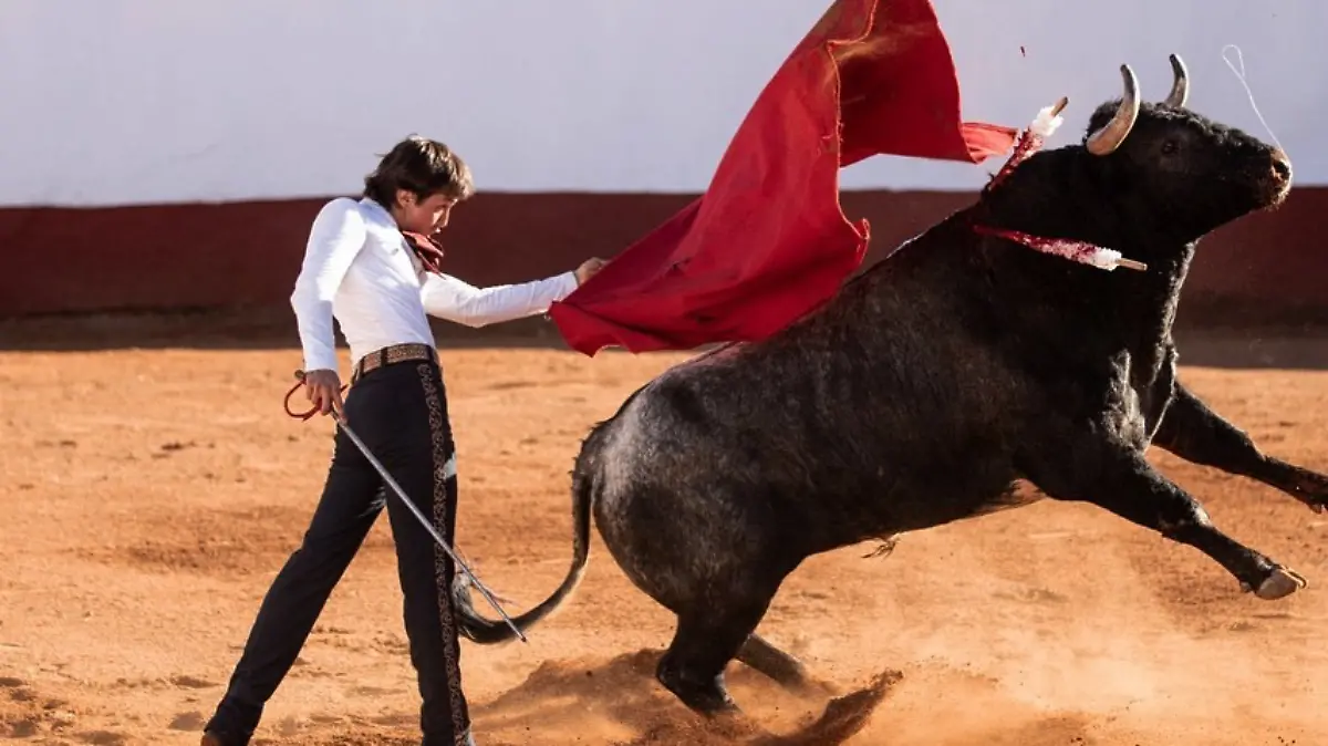 CORTESÍA ARTURO GILIO - NOVILLADA (2)