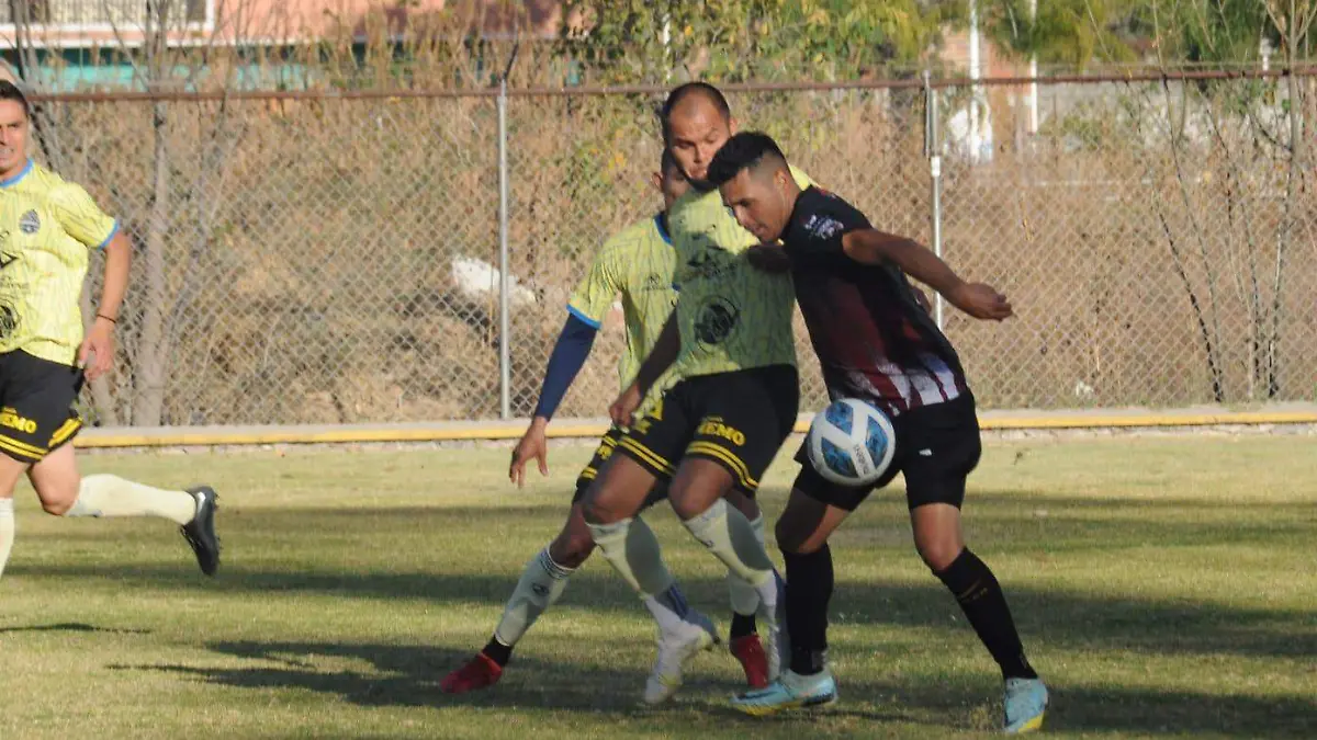 WhatsApp Image 2023-02-12 at 4.09.53 PM