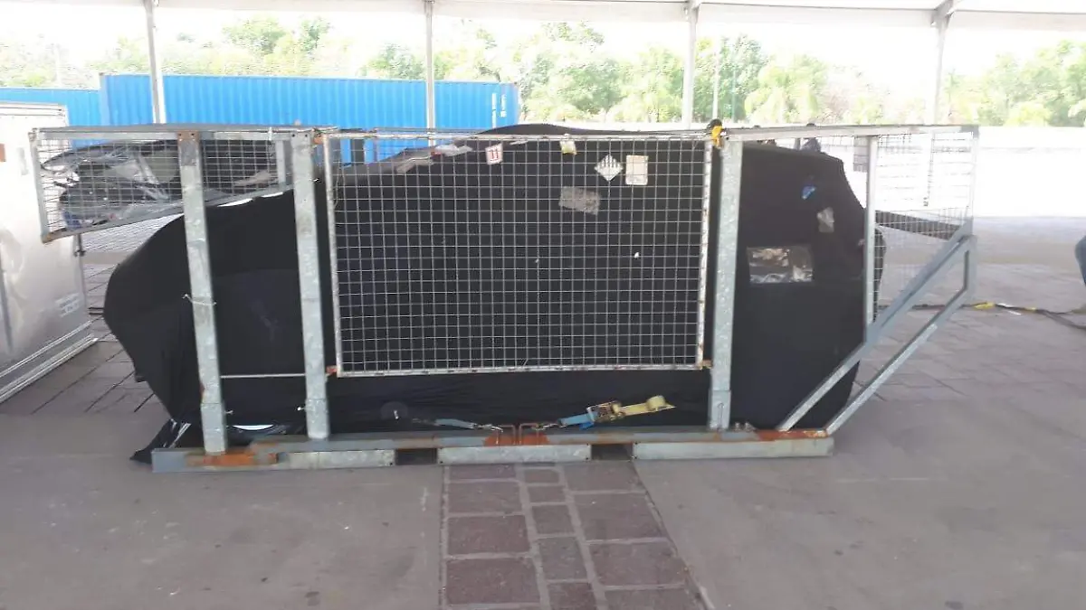 WhatsApp Image 2020-03-06 at 10.52.22 AM