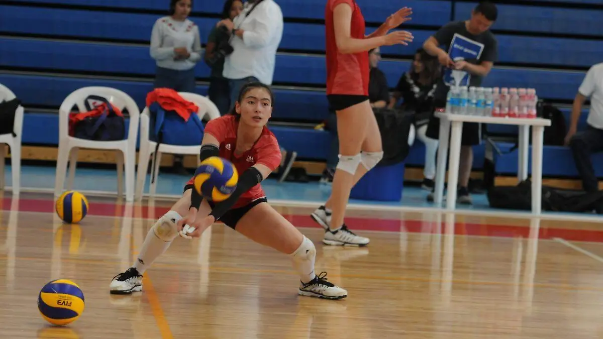 WhatsApp Image 2019-07-10 at 2.16.05 PM