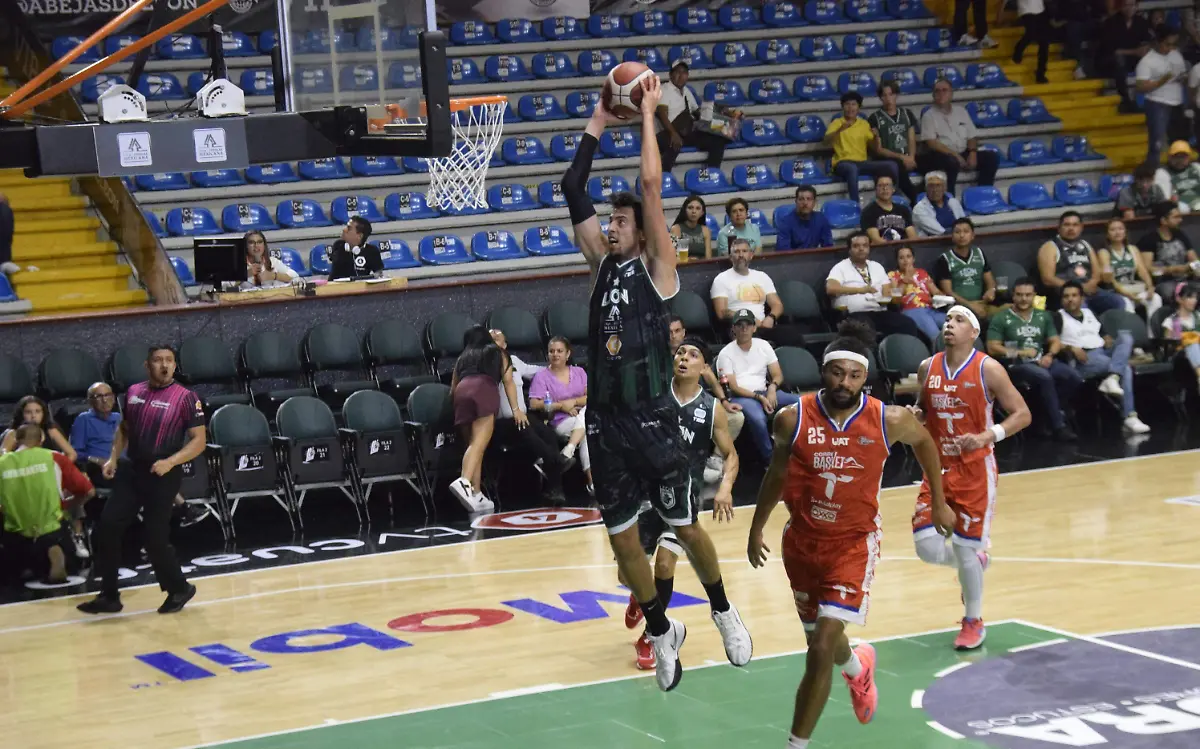 F CARMONA ABEJAS (17) (3)